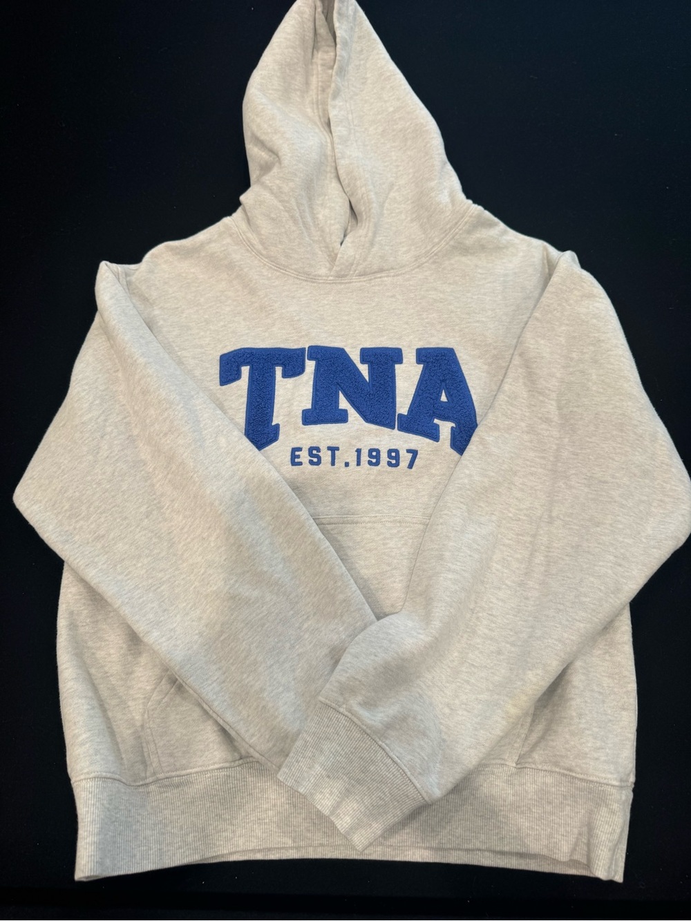TNA Light Gray Hoodie with Blue Logo - Men's Pullover